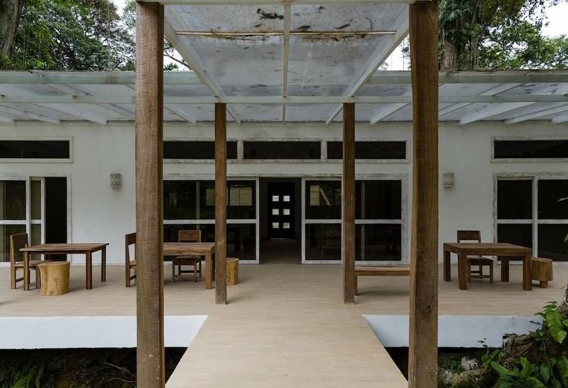 هتل Sonora Jungle & Yoga Retreat