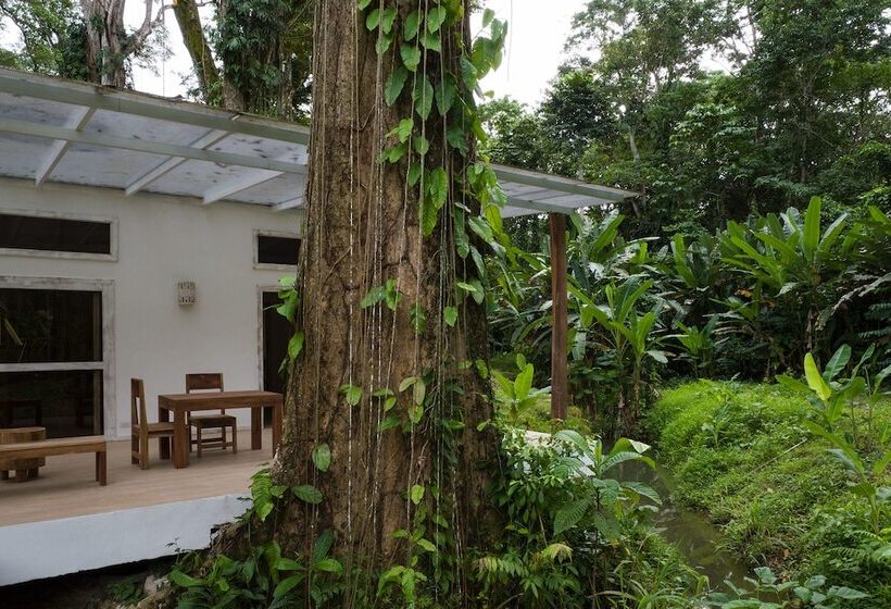 هتل Sonora Jungle & Yoga Retreat