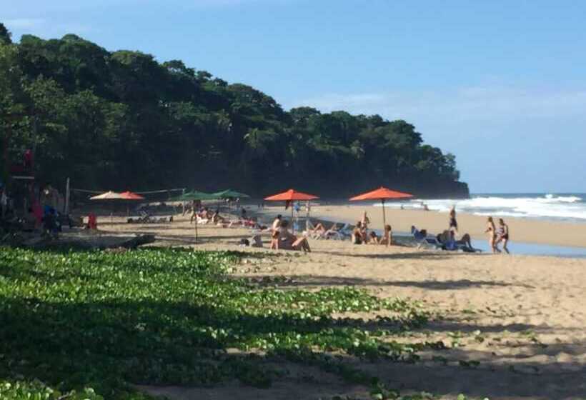 هتل Sonora Jungle & Yoga Retreat