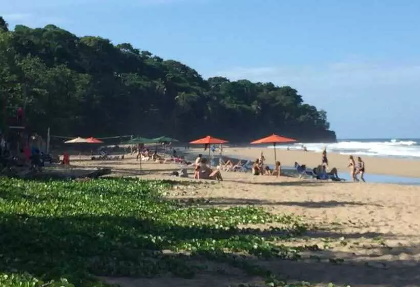 ホテル Sonora Jungle & Yoga Retreat