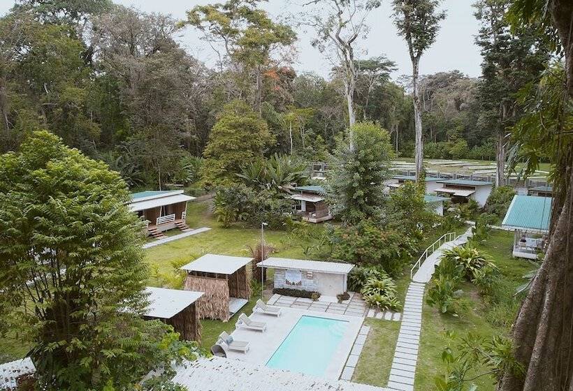 هتل Sonora Jungle & Yoga Retreat