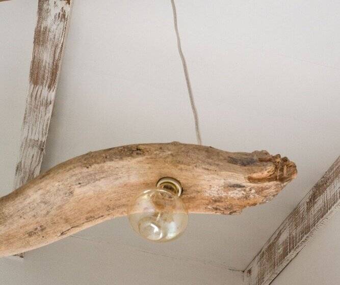 هتل Sonora Jungle & Yoga Retreat