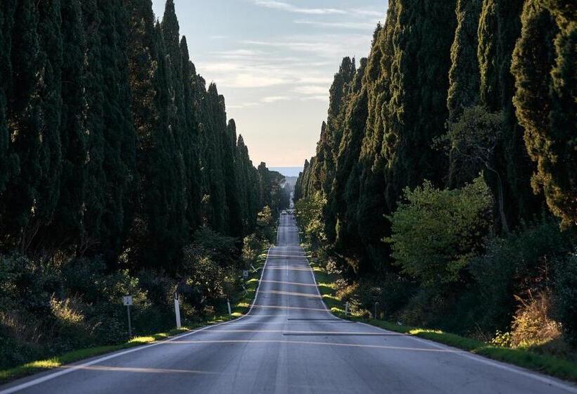 민박 Bolgheri Wine Suite