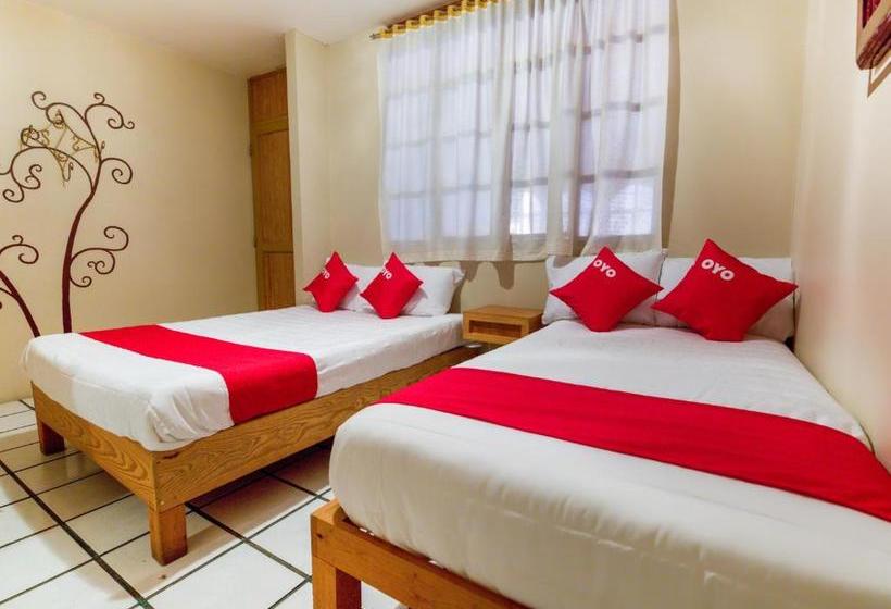 בית מלון כפרי La Terracita