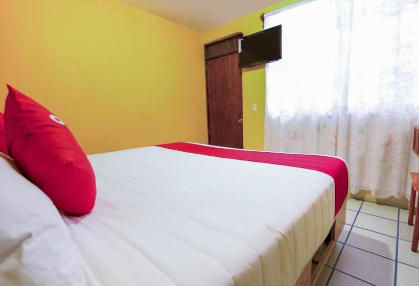 בית מלון כפרי La Terracita