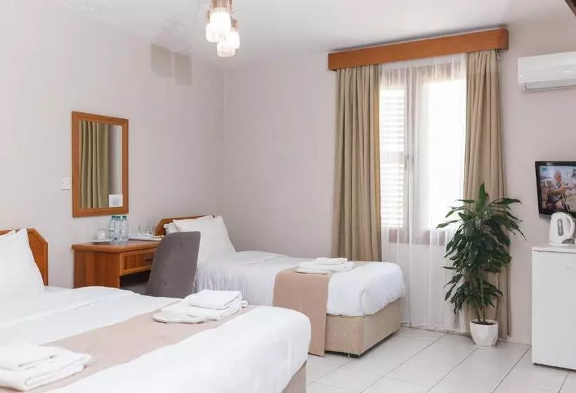 هاستل Homelike Guest House