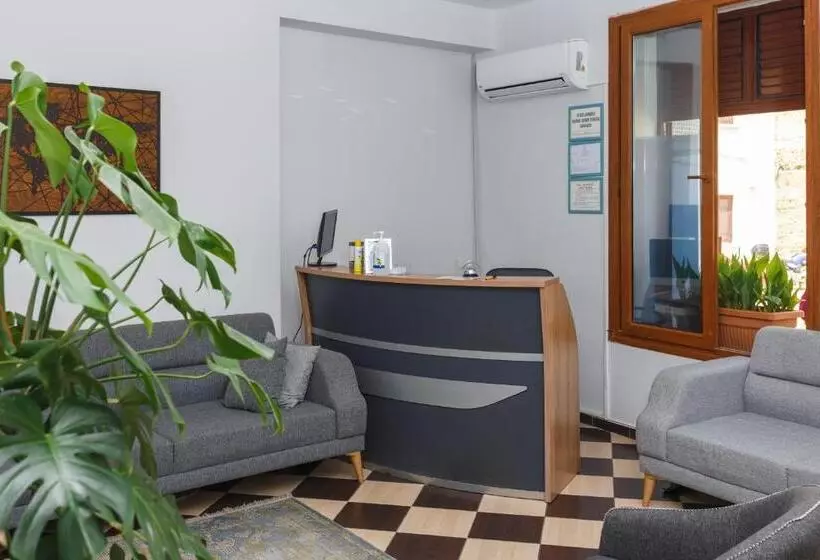 هاستل Homelike Guest House