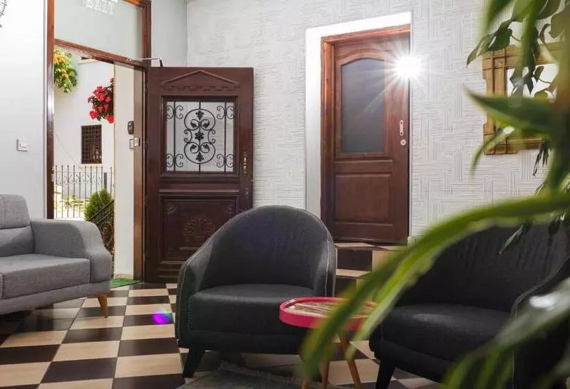 هاستل Homelike Guest House