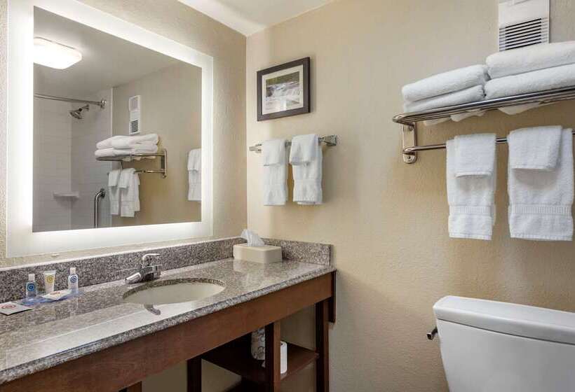 فندق Comfort Inn & Suites Airport