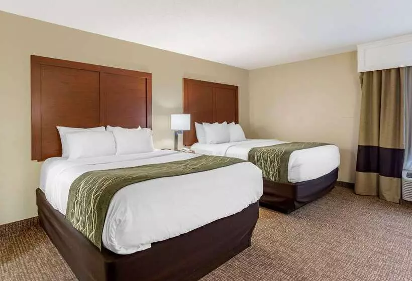 هتل Comfort Inn & Suites Airport