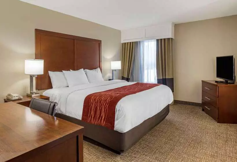 هتل Comfort Inn & Suites Airport