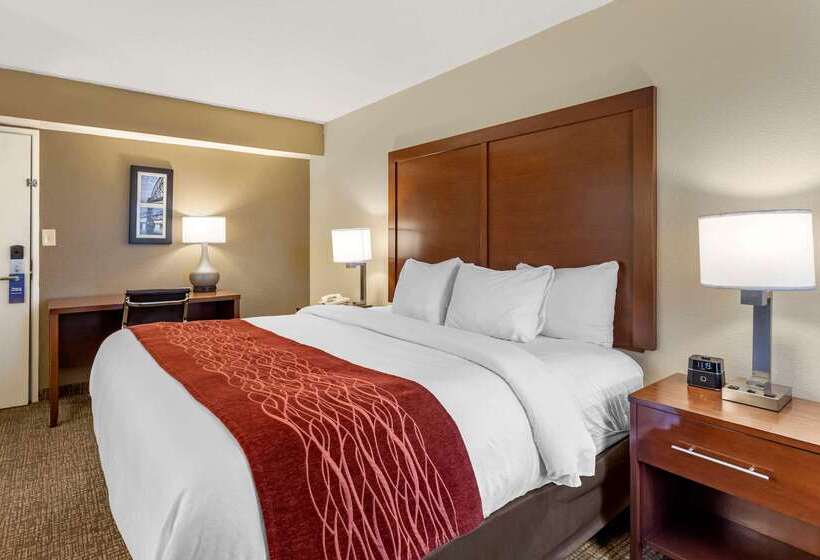 فندق Comfort Inn & Suites Airport