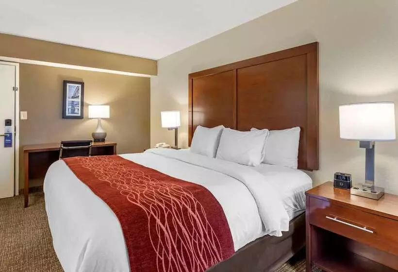 هتل Comfort Inn & Suites Airport