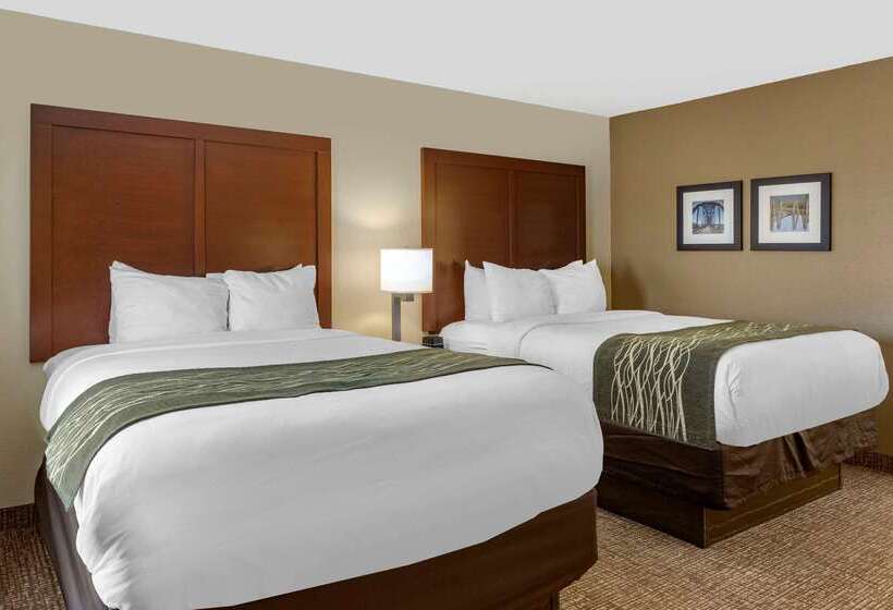 فندق Comfort Inn & Suites Airport