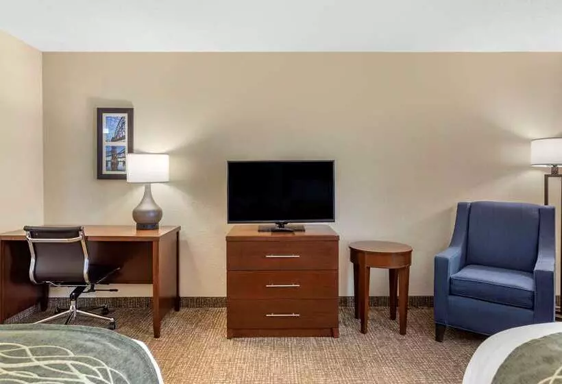 هتل Comfort Inn & Suites Airport