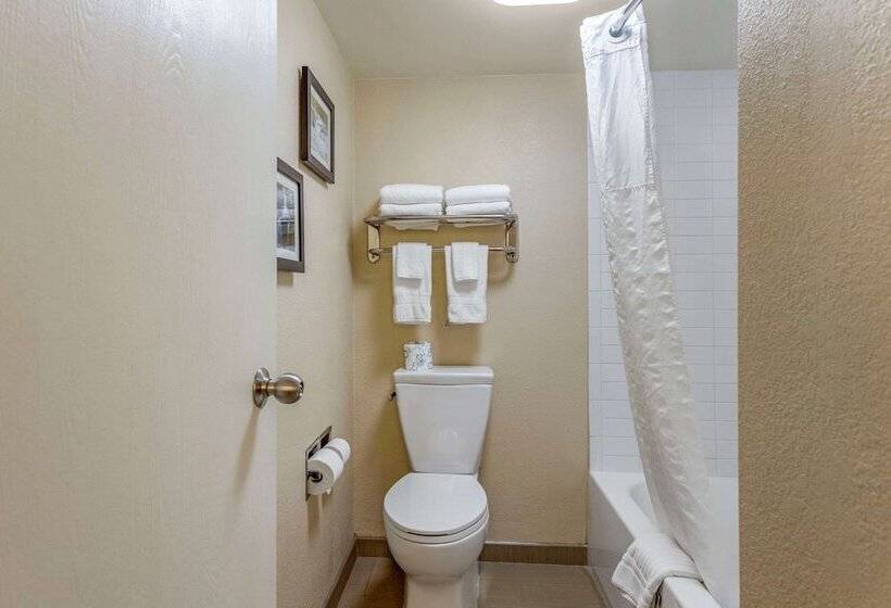 فندق Comfort Inn & Suites Airport