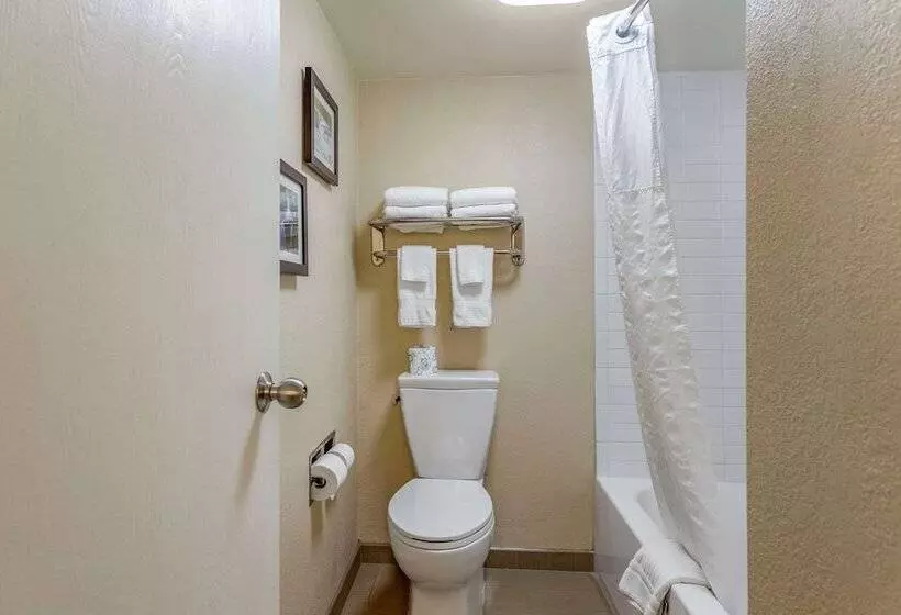 هتل Comfort Inn & Suites Airport