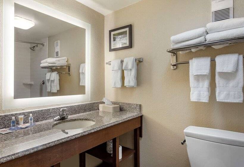 فندق Comfort Inn & Suites Airport