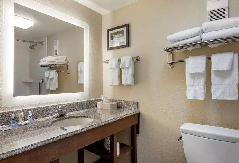 هتل Comfort Inn & Suites Airport