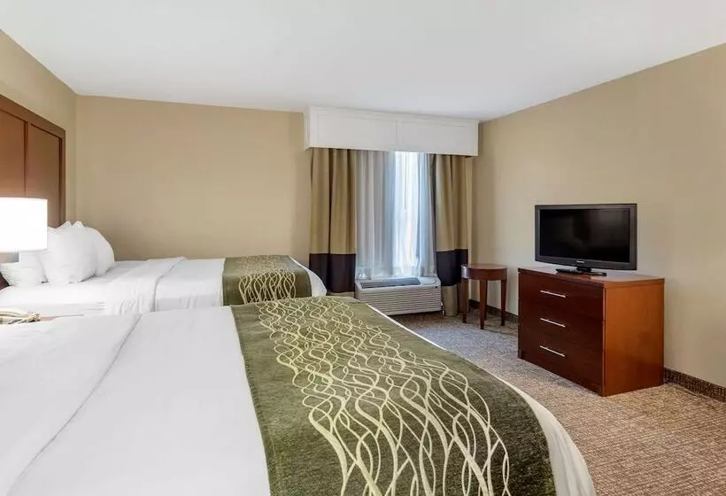 هتل Comfort Inn & Suites Airport
