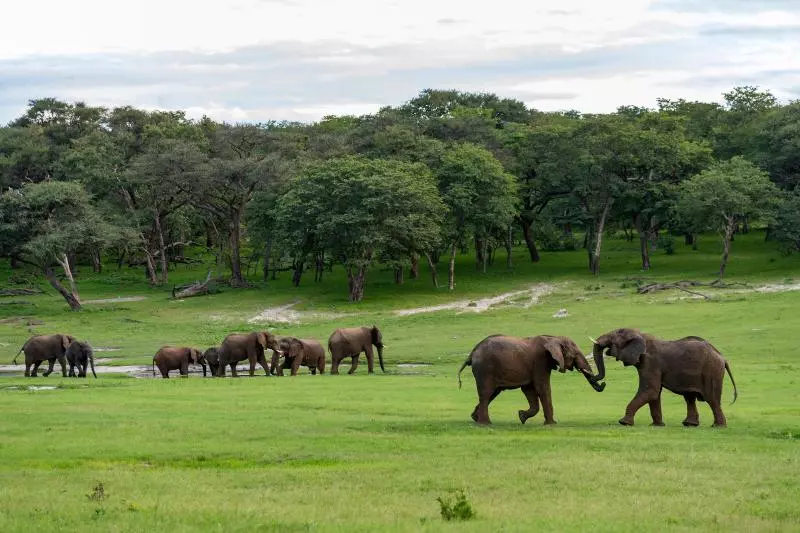 Hotelli Hwange Safari Lodge