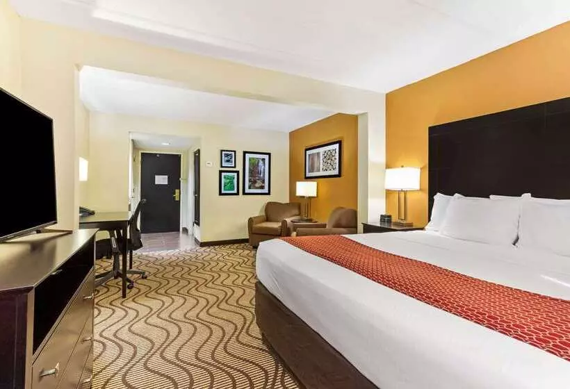 هتل La Quinta Inn & Suites By Wyndham Tampa North I75