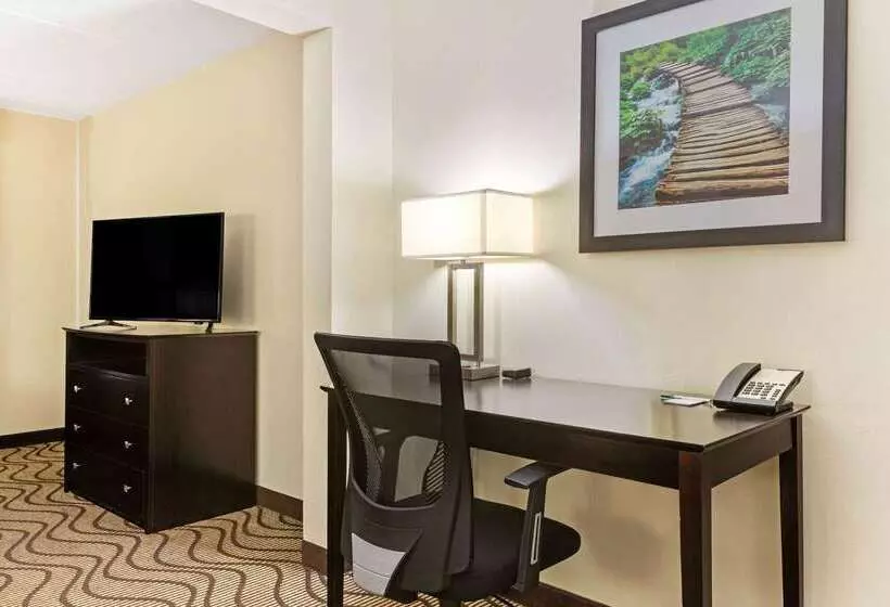 هتل La Quinta Inn & Suites By Wyndham Tampa North I75