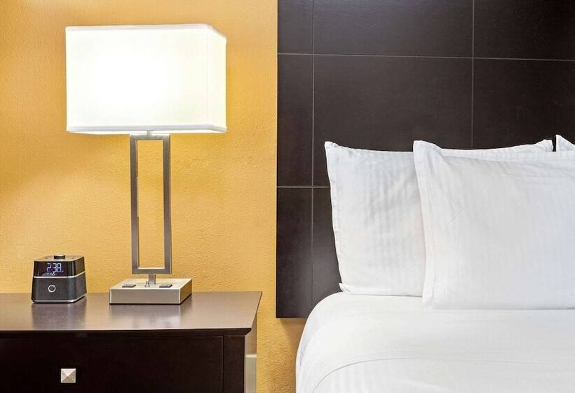 בית מלון כפרי La Quinta Inn & Suites By Wyndham Tampa North I75