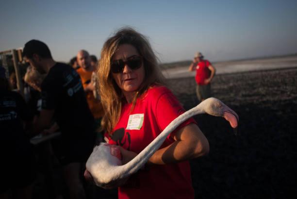 Отель Molino De Saydo