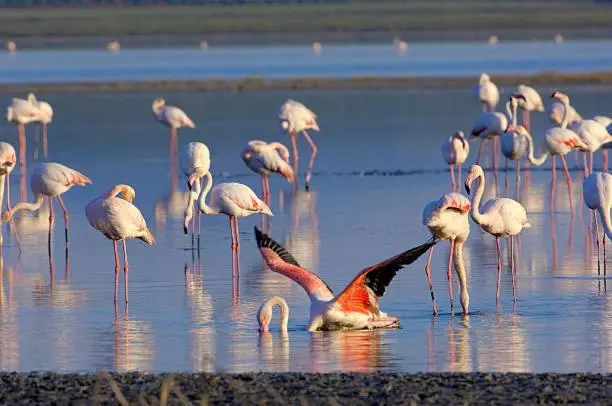 호텔 Molino De Saydo