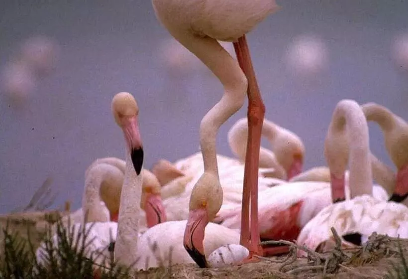 호텔 Molino De Saydo