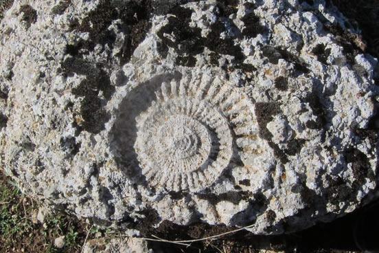 Отель Molino De Saydo