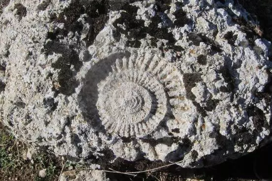 호텔 Molino De Saydo