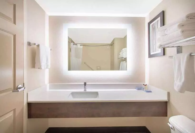 בית מלון כפרי Wingate By Wyndham Mechanicsburg