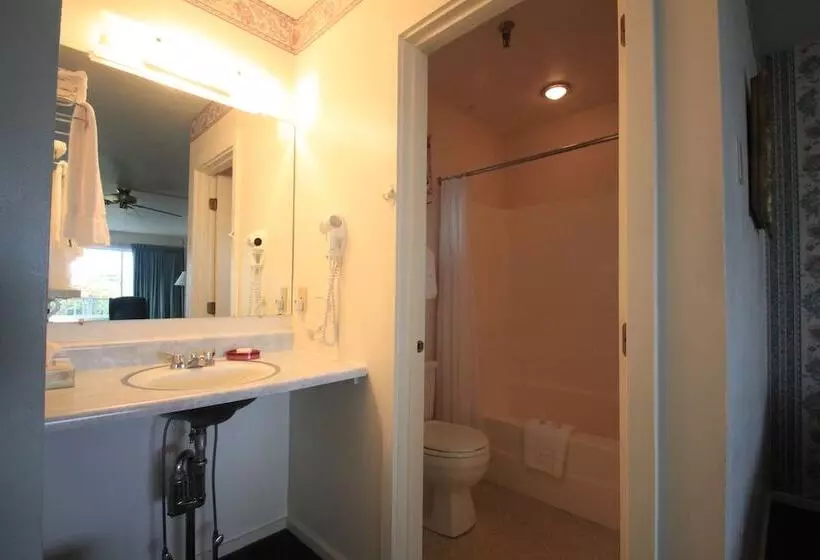 בית מלון כפרי Wonder View Inn