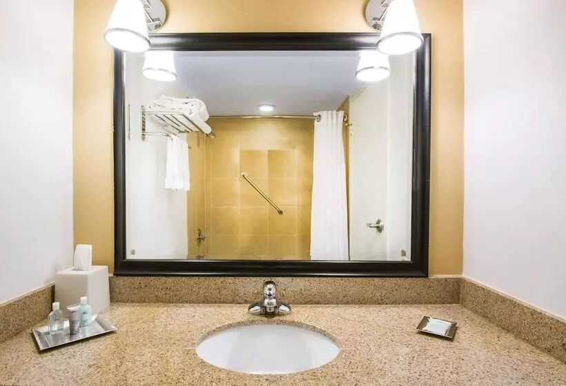 ホテル Wyndham Garden Inn Pittsburgh Airport