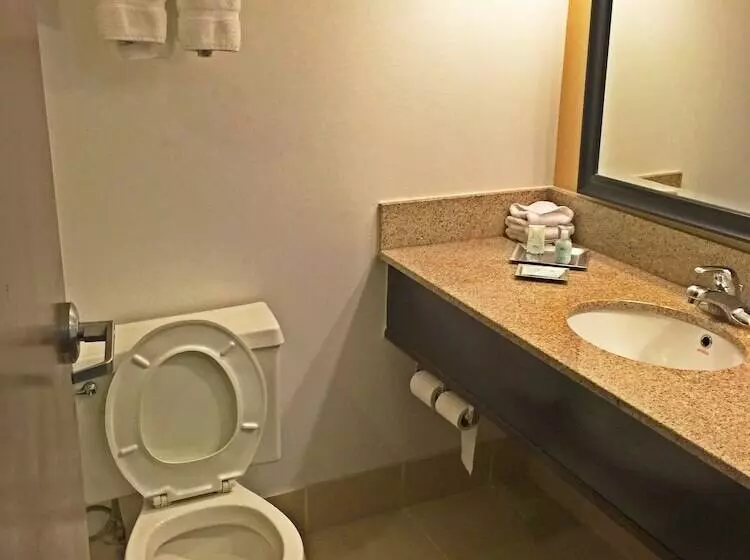 ホテル Wyndham Garden Inn Pittsburgh Airport