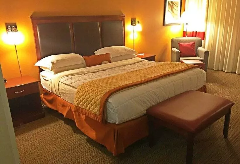 ホテル Wyndham Garden Inn Pittsburgh Airport