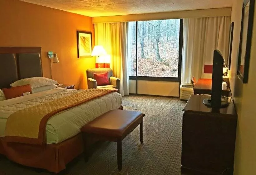 ホテル Wyndham Garden Inn Pittsburgh Airport