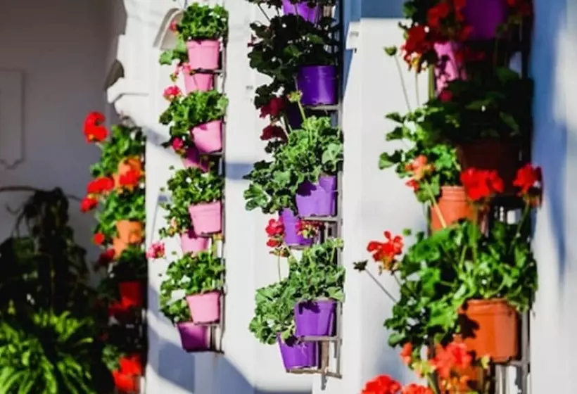 B Bou Hotel La Viñuela & Spa