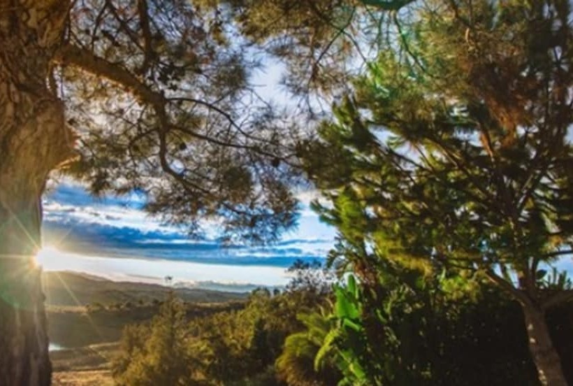 B Bou Hotel La Viñuela & Spa