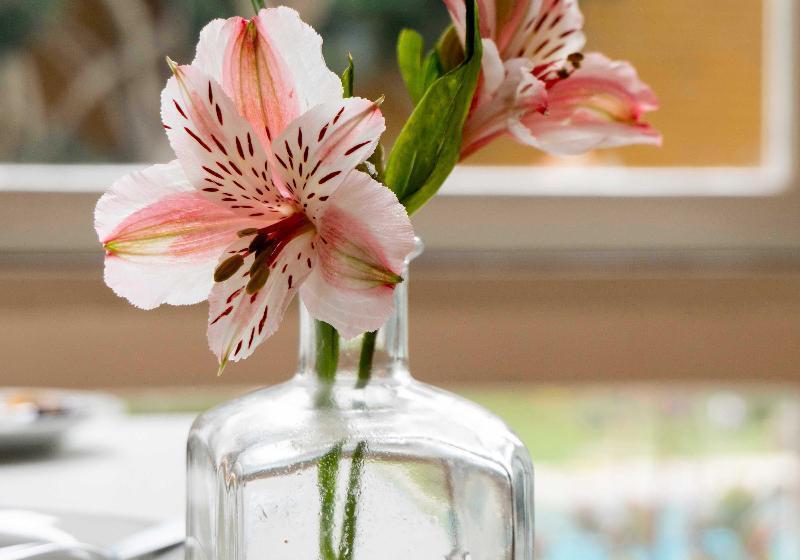 فندق Basadre Suites