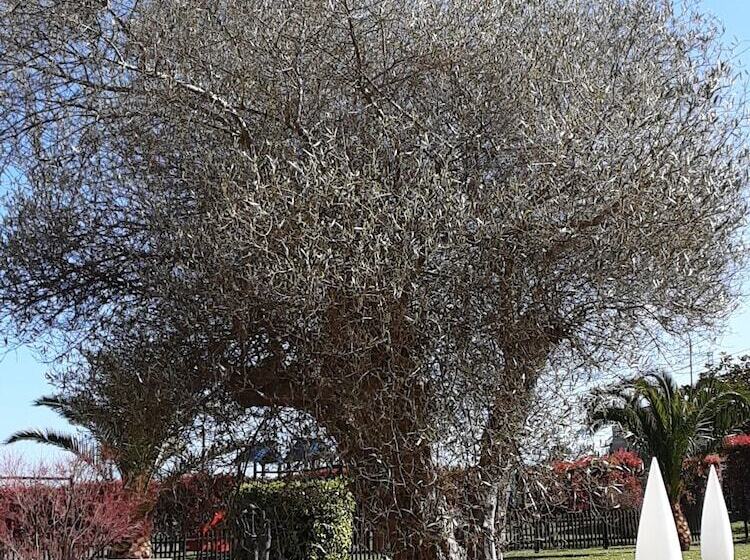 Hotelli Marqués De La Moral