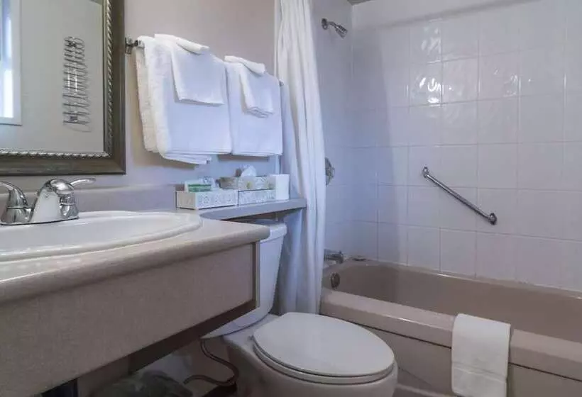 בית מלון כפרי Port Augusta Inn