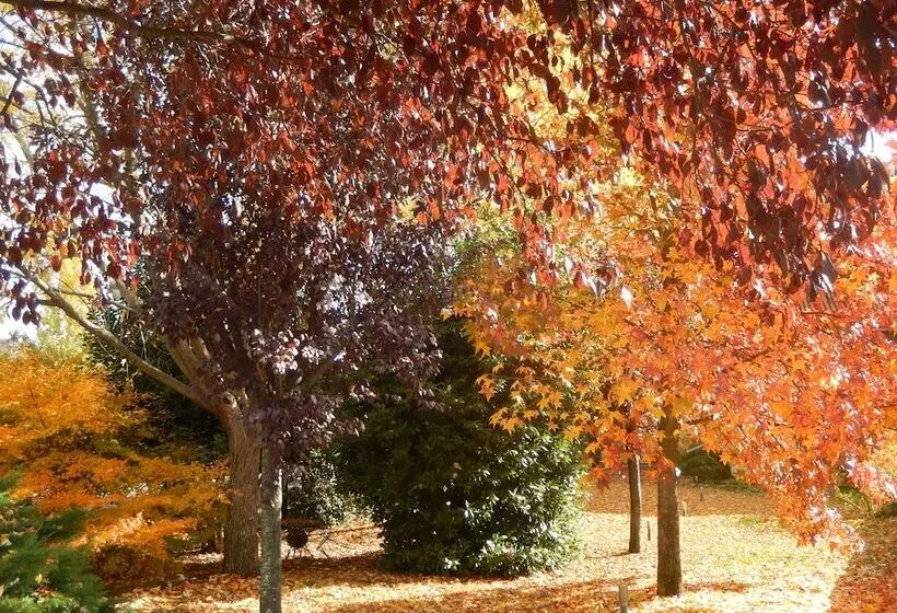 田舎風ホテル El Turcal