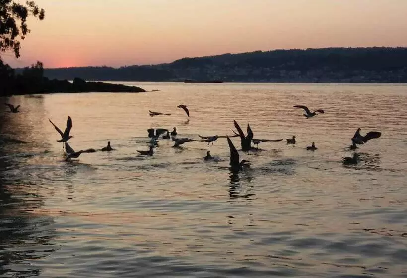 ホテル Villa De Marin