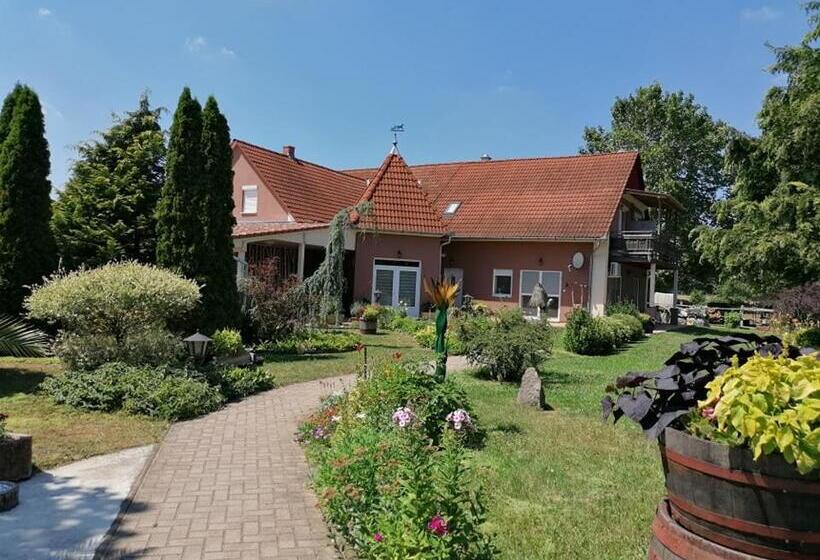 住宿加早餐 Hartmann Panzió