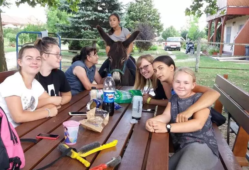 ベッドアンドブレックファースト Hartmann Panzió