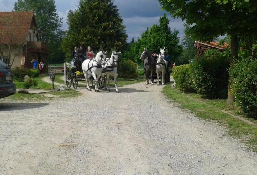 住宿加早餐 Hartmann Panzió