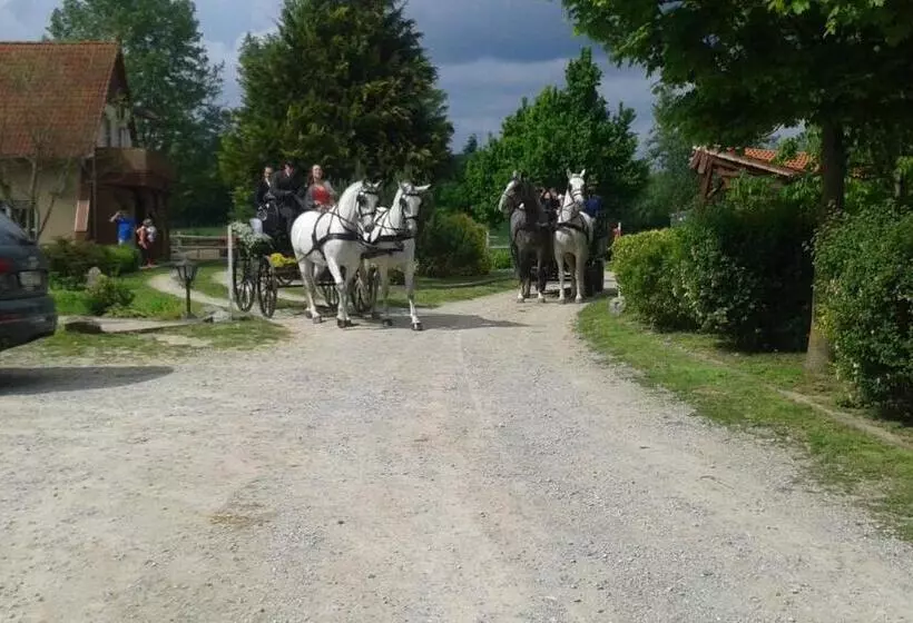 ベッドアンドブレックファースト Hartmann Panzió